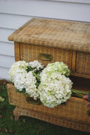 Vintage Wicker Dresser