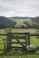Rustic Timber Dining Chairs