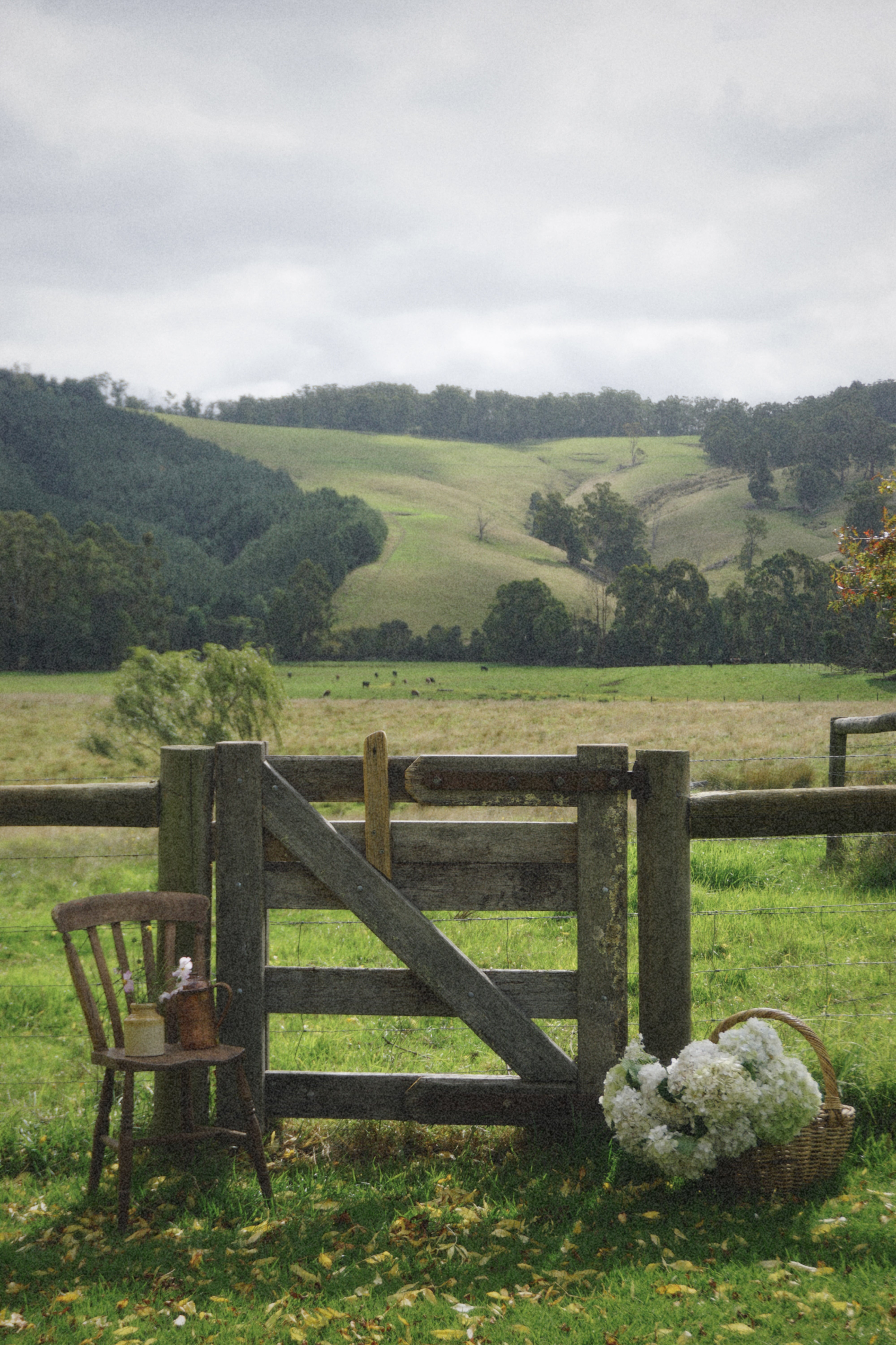 Rustic Timber Dining Chairs