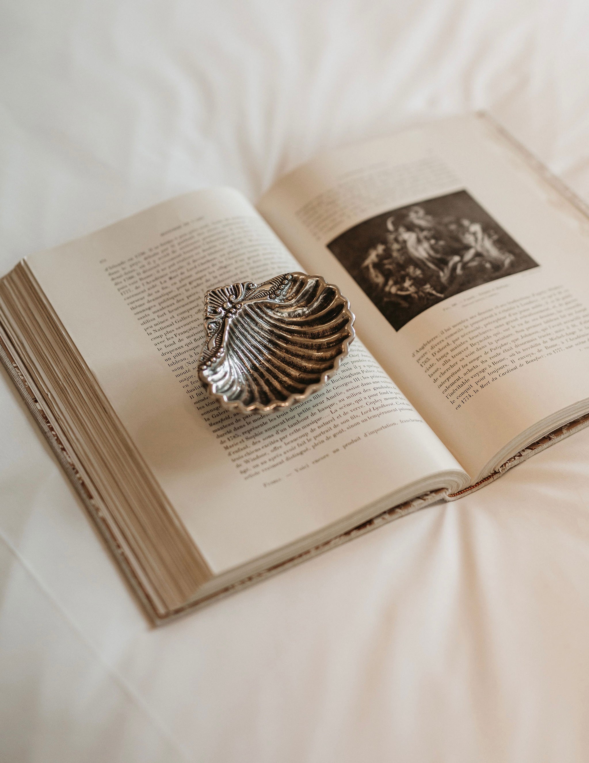 Cove Shell Dish