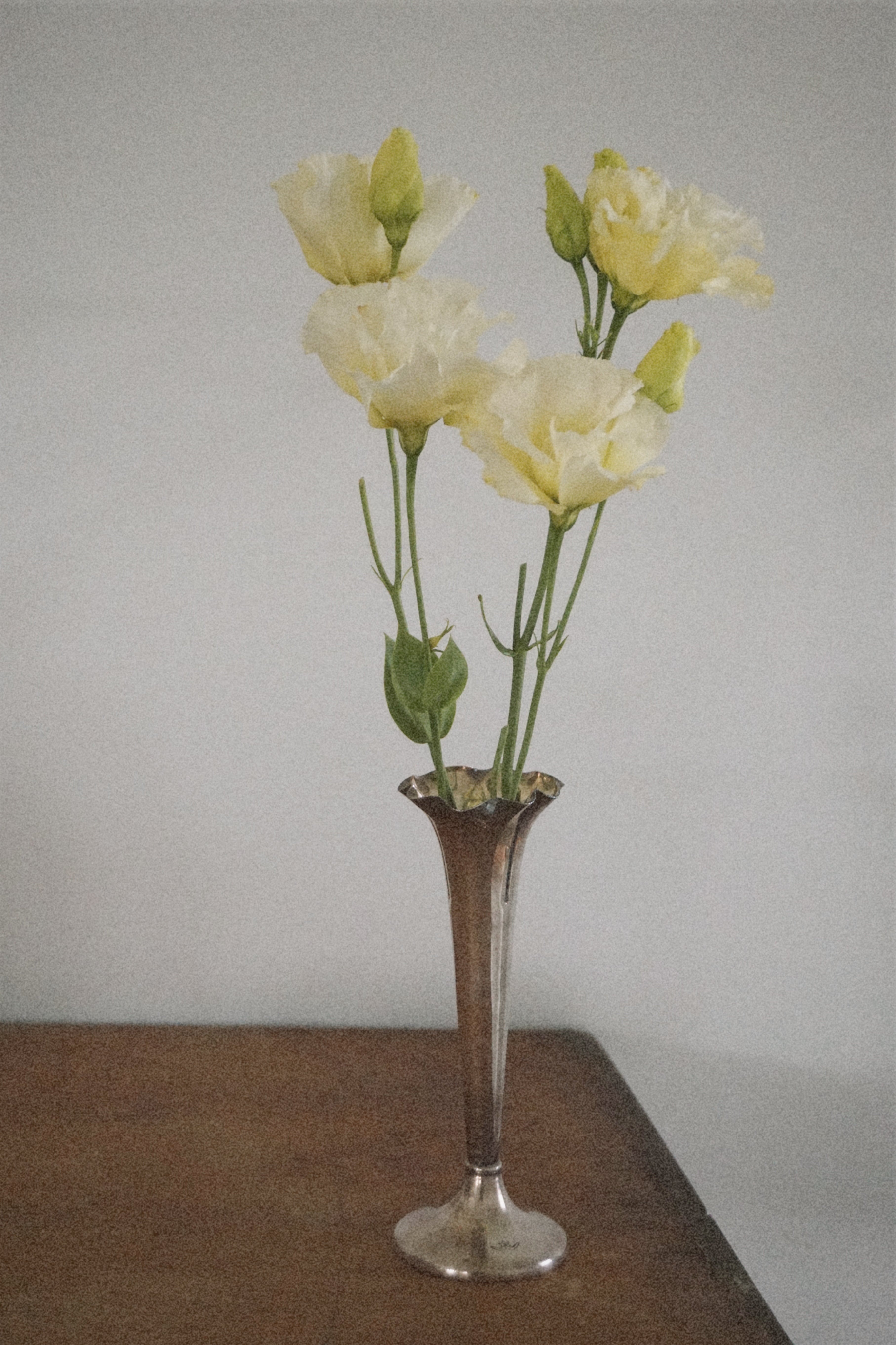 Stokes & Son's Single Stem Vase