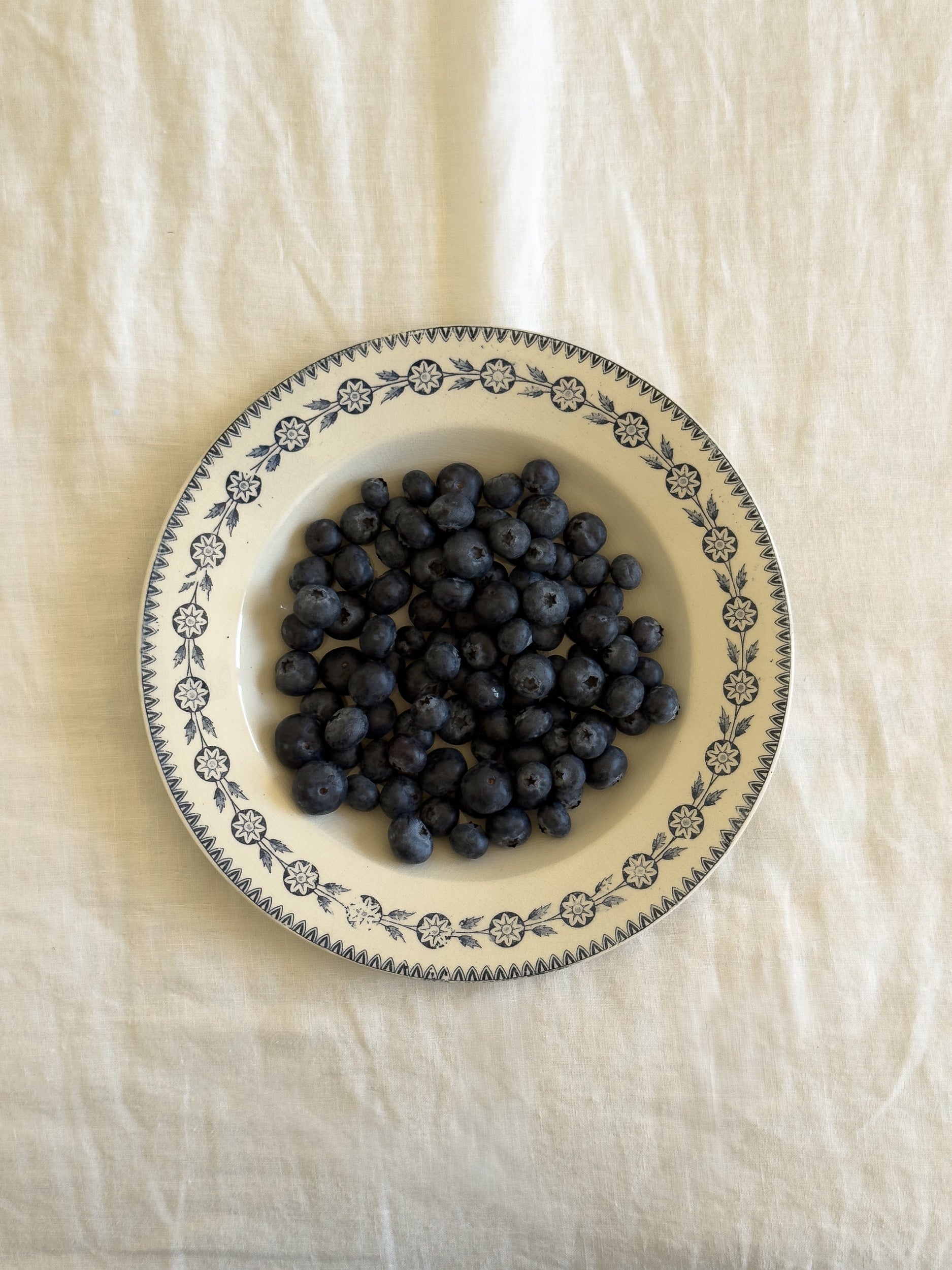 Pair of Antique Gien Shallow Ironstone Bowls