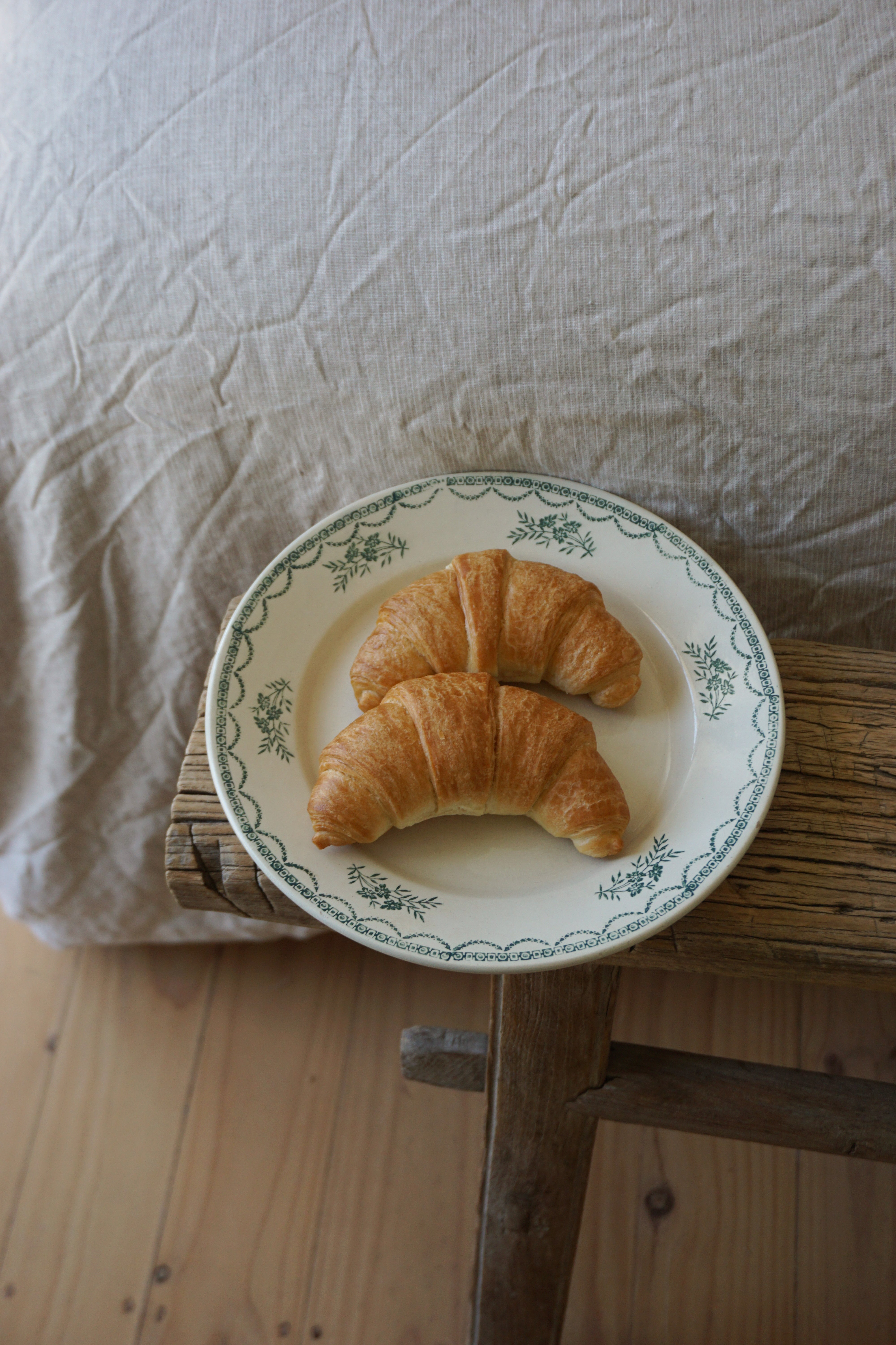 Pair of Faiencerie de Castres Green Plates