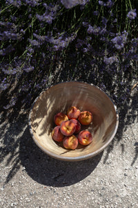 Rustic French Tian